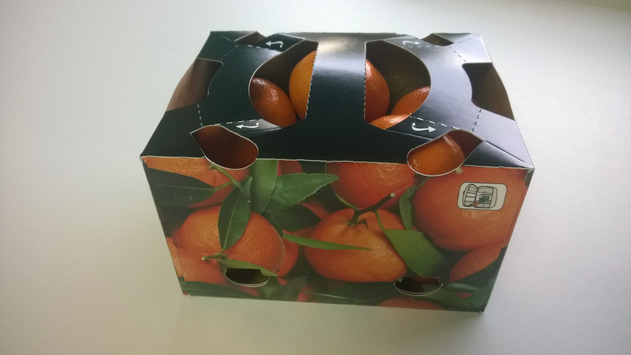Fruit-box 1 kg